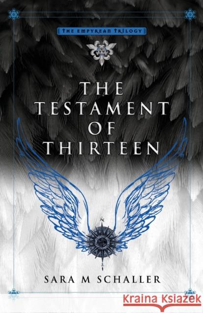 The Testament of Thirteen Sara M Schaller   9781732516274 Designs by Seraphim