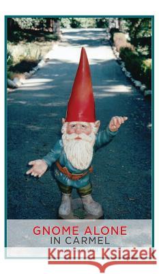 Gnome Alone in Carmel Karyl Hall 9781732545014 Seton Publishing