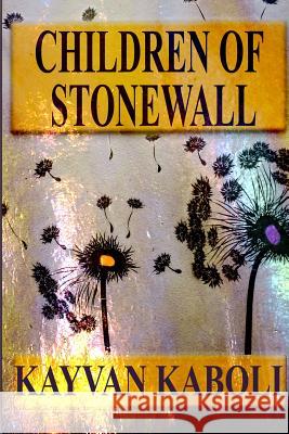 Children of Stonewall Kayvan Kaboli Mandy Erickson Retta 9781732680623