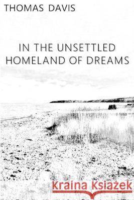 In the Unsettled Homeland of Dreams Thomas Davis 9781732723788 All Things That Matter Press
