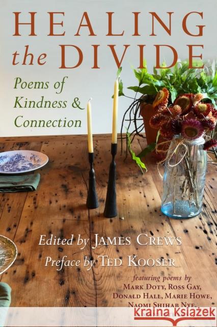 Healing the Divide: Poems of Kindness and Connection James Crews 9781732743458