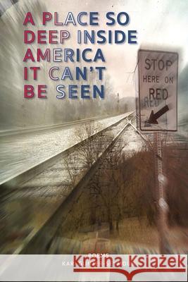 A Place So Deep Inside America It Can't Be Seen: Poems Kari Gunter-Seymour, Hayley Mitchell Haugen 9781732940680