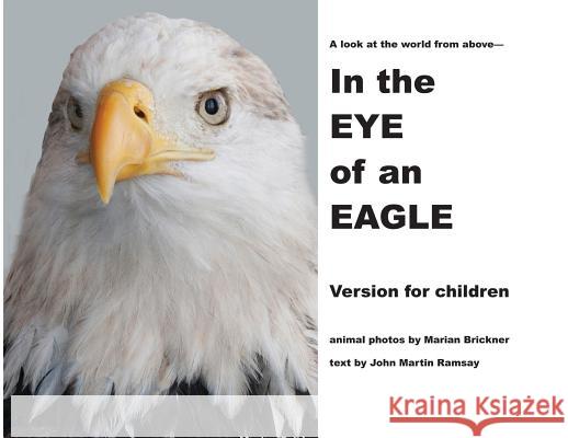 In the Eye of an Eagle: A look at the world from above. John Martin Ramsay Marian Brickner 9781733029131 Shareinprint