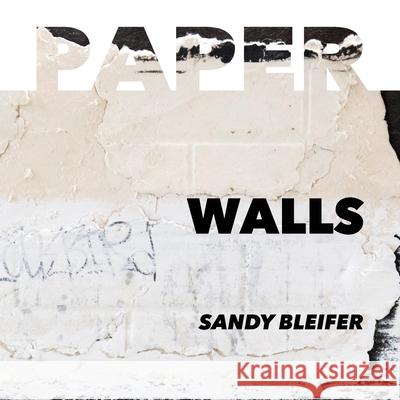 Paper: Walls: Vulnerability and Resilience of Urban Surfaces Sandy Bleifer Debbie Zeitman 9781733071956 Sandra Bleifer