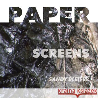 Paper: Screens: Enabling a Sequential Reading of Art Sandy Bleifer Debbie Zeitman 9781733071987 Sandra Bleifer