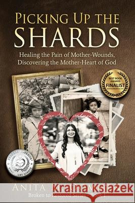 Picking Up The Shards Anita M. Oommen 9781733111508