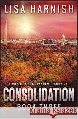 Consolidation: Book Three Lisa Harnish 9781733141154 Lisa Harnish Creations