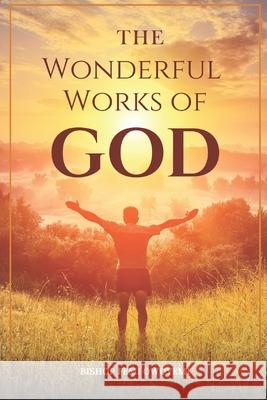The wonderful works of God Femi Owoyem 9781733233071