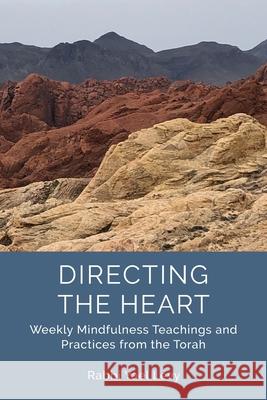 Directing the Heart: Weekly Mindfulness Teachings and Practices from the Torah Rabbi Yael Levy 9781733238403