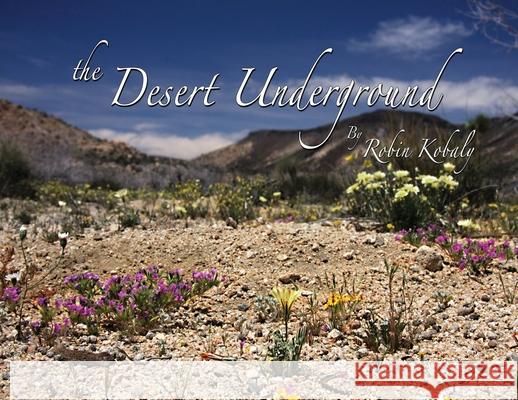 The Desert Underground Robin Kobaly 9781733238700 Summertree Institute