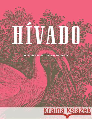 Hívado Colarusso, Andrew E. 9781733273497