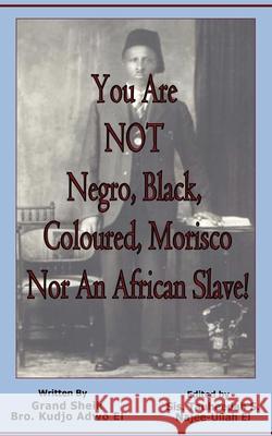 You Are NOT Negro, Black, Coloured, Morisco Nor An African Slave! Kudjo Adwo El, Tauheedah S Najee-Ullah El 9781733280570 Califa Media Publishing