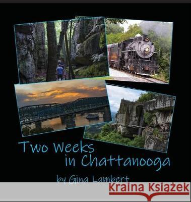 Two Weeks in Chattanooga Gina Lambert 9781733420617 Photography in Pearls, LLC