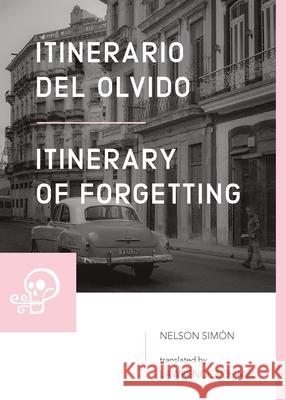 Itinerario del olvido / Itinerary of Forgetting Simon Nelson Schimel Lawrence 9781733425315