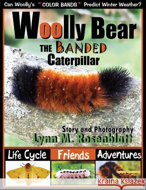 Woolly Bear the Banded Caterpillar: Life Cycle, Friends and Adventures Lynn M Rosenblatt 9781733473255