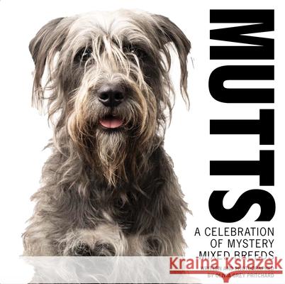 Mutts: A Celebration of Mystery Mixed Breeds Pritchard, Olivia Grey 9781733634175 Susan Schadt Press LLC