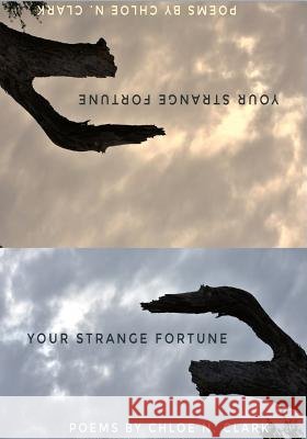 Your Strange Fortune Chloe N. Clark 9781733848305