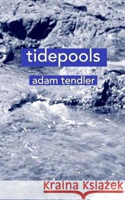 tidepools Tendler, Adam 9781733916202 Blurb