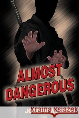 Almost Dangerous Joseph W. Bebo 9781733930857