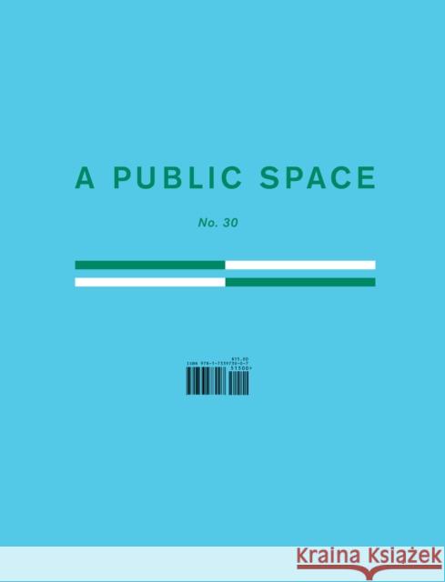 A Public Space No. 30 Brigid Hughes 9781733973007 A Public Space