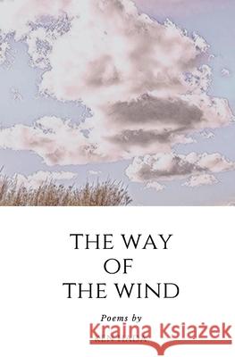 The Way of The Wind Ken Hada Duane Hada 9781733979542