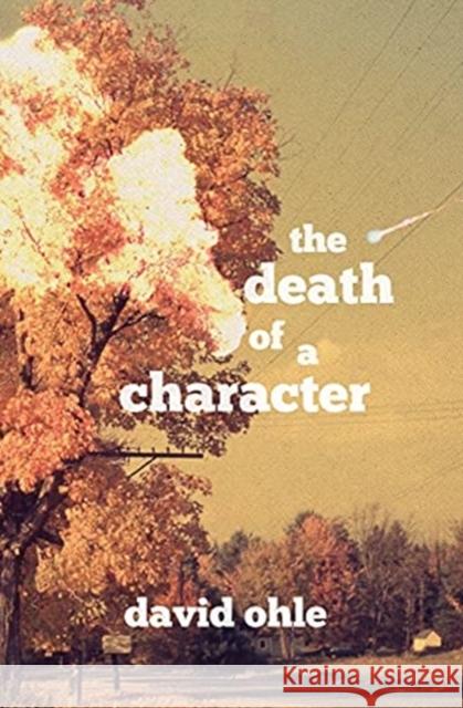 The Death of a Character David Ohle 9781734012675 Stalking Horse Press