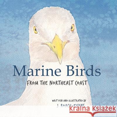 Marine Birds: from the Northeast Coast Erin Oliveira Joanne Roach-Evans 9781734153217 Pickerel Publishing