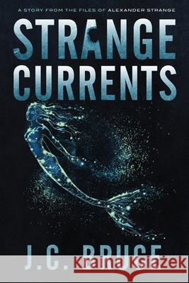 Strange Currents J C Bruce 9781734290363 Jeffrey C. Bruce LLC