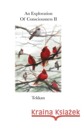 An Exploration of Consciousness II Tekkan 9781734351026 Barry MacDonald