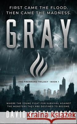 Gray David Kettlehake 9781734495010 Brother Mockingbird