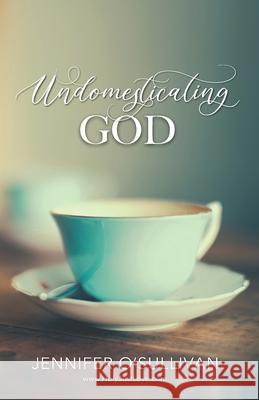 Undomesticating God Jennifer O'Sullivan 9781734499377 31 Publishing
