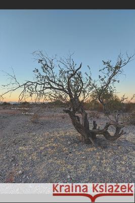 Los Huesos Izaak David Diggs 9781734542899 Izaak David Diggs