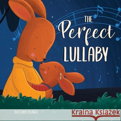 The Perfect Lullaby Brittany Plumeri 9781734657395