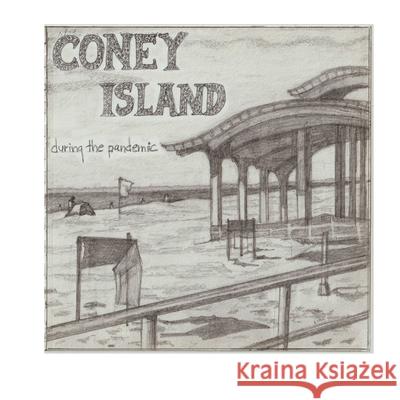 Coney Island During the Pandemic Susanna Plotnick 9781734702941 Art and Adventures