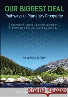 Our Biggest Deal: Pathways to Planetary Prosperity Aaron William Perry John Fullerton 9781734722994
