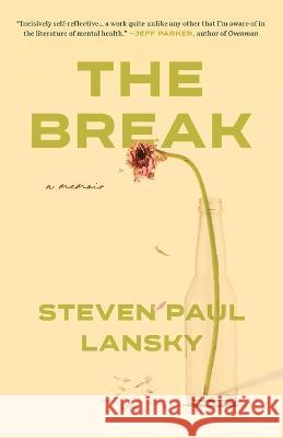 The Break Steven P Lansky 9781734734188