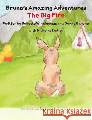 The Big Fire Duane Barone Juliette Winningham Cristal Baldwin 9781734770148