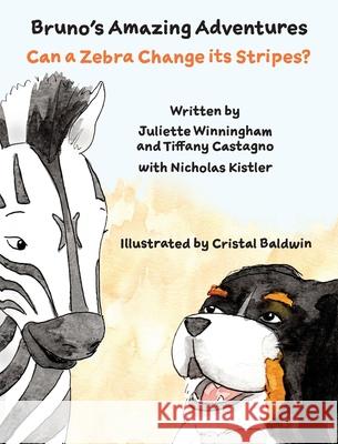 Can a Zebra Change its Stripes? Juliette Winningham Tiffany Castagno Cristal Baldwin 9781734770186 Freebird Foundation of Evergreen, Co