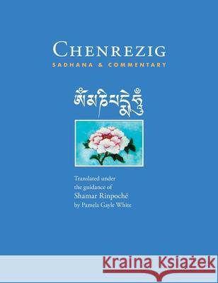 Chenrezig Sadhana and Commentary Tangtong Gyalpo Khakhyab Dorje 15t Shamar Rinpoche 9781734782349 Bird of Paradise Press