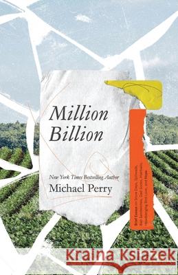 Million Billion: Brief Essays on Snow Days, Spitwads, Bad Sandwiches, Dad Socks, Hairballs, Headbanging Bird Love, and Hope. Michael Perry 9781734868302