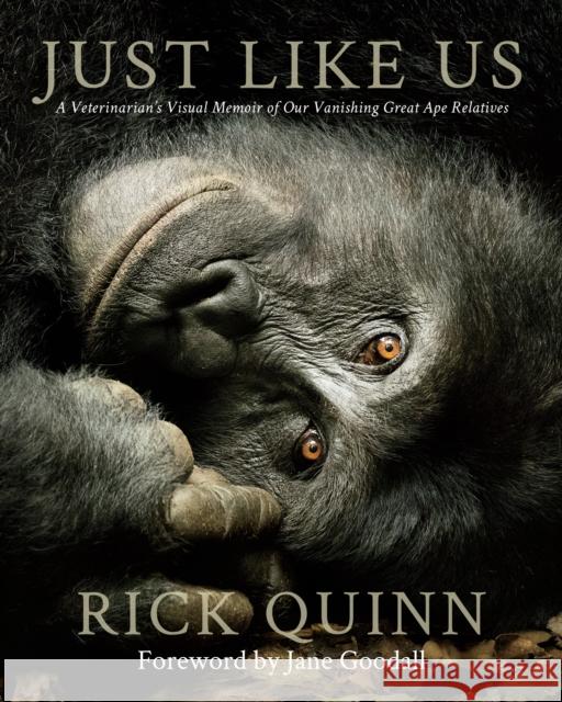 Just Like Us: A Veterinarian's Visual Memoir of Our Vanishing Great Ape Relatives Rick Quinn Jane, Dbe Goodall 9781734880212