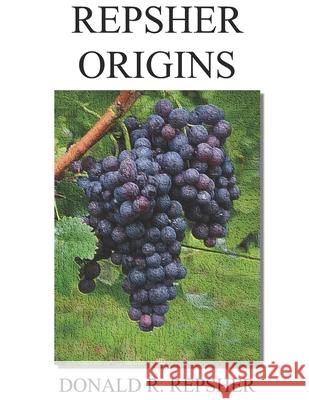 Repsher Origins Donald R Repsher 9781734974423 Scribes Valley Publishing Company