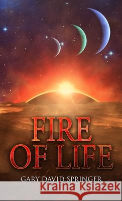 Fire of Life Gary David Springer 9781735029429