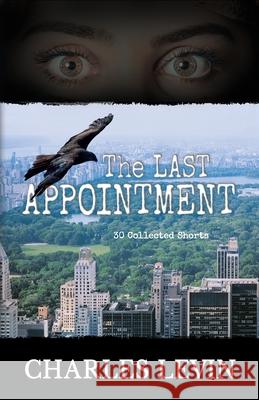 The Last Appointment: 30 Collected Short Stories Charles Levin 9781735210872 Munn Avenue Press