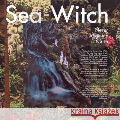 Sea-Witch Never Angeline North   9781735290119 Inside the Castle