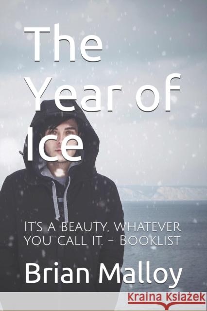 The Year of Ice Brian Malloy 9781735330105