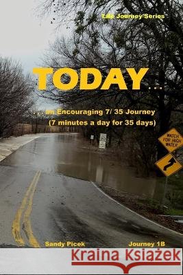 Today... An Encouraging 7/35 Journey 1B Picek, Sandy 9781735538334
