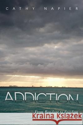 Addiction: From Bondage to Freedom Cathy Napier 9781735603438 Cathy Napier