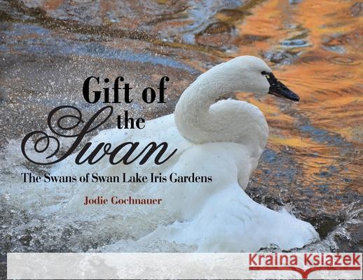 Gift of the Swan: The Swans of Swan Lake Iris Gardens Jodie Gochnauer 9781735769608 Alto Status Publishing