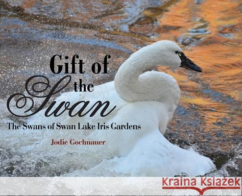 Gift of the Swan: The Swans of Swan Lake Iris Gardens Jodie Gochnauer 9781735769615 Alto Status Publishing